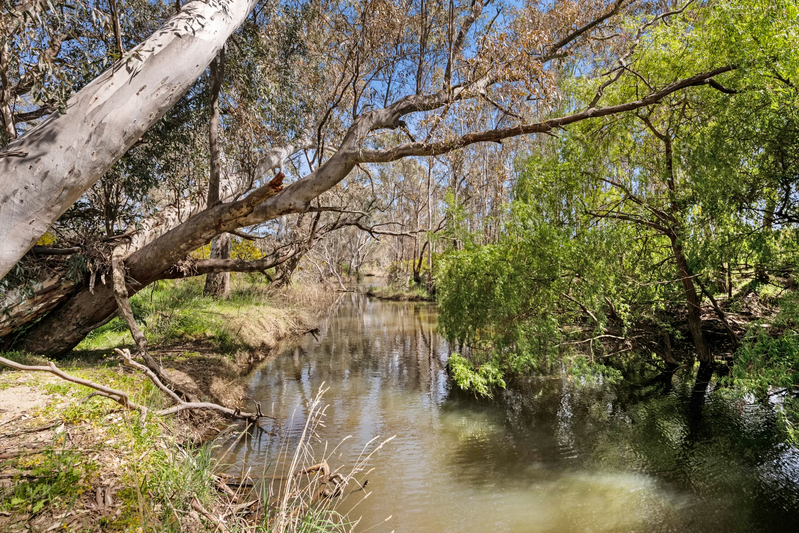 Additional image 13 of 5480 Northern Highway, Tooborac VIC 3522