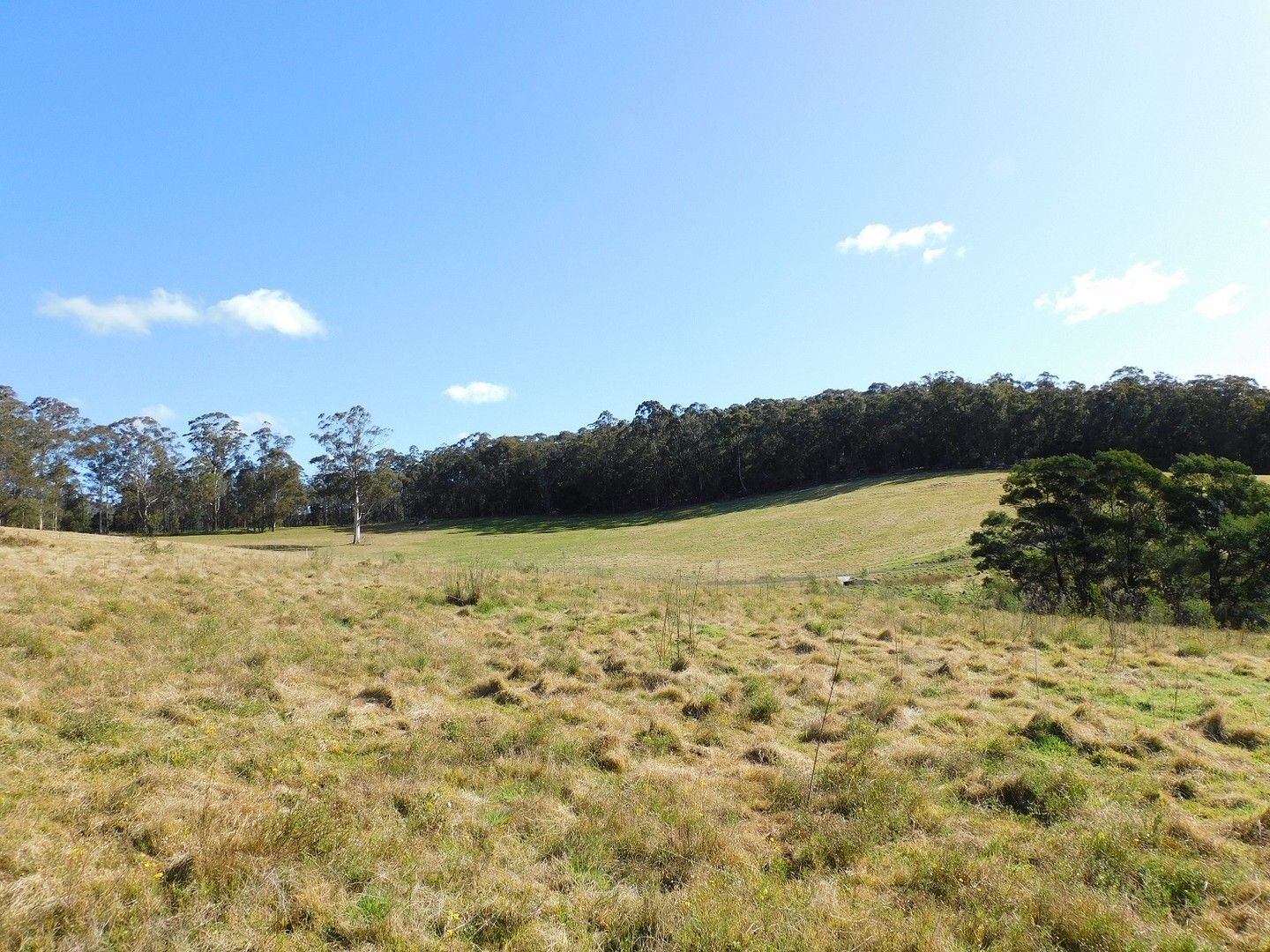 (Lot 15)/66 McCausland Road, Lochiel NSW 2549 House for Sale 650,000