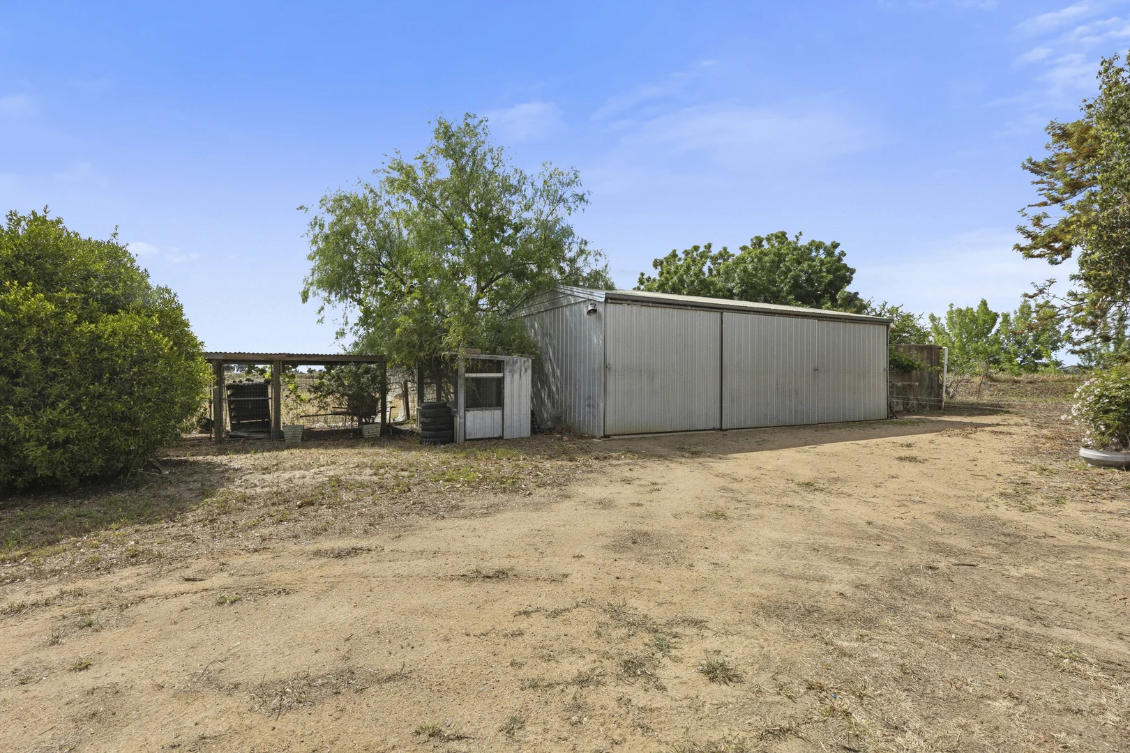 Image 15