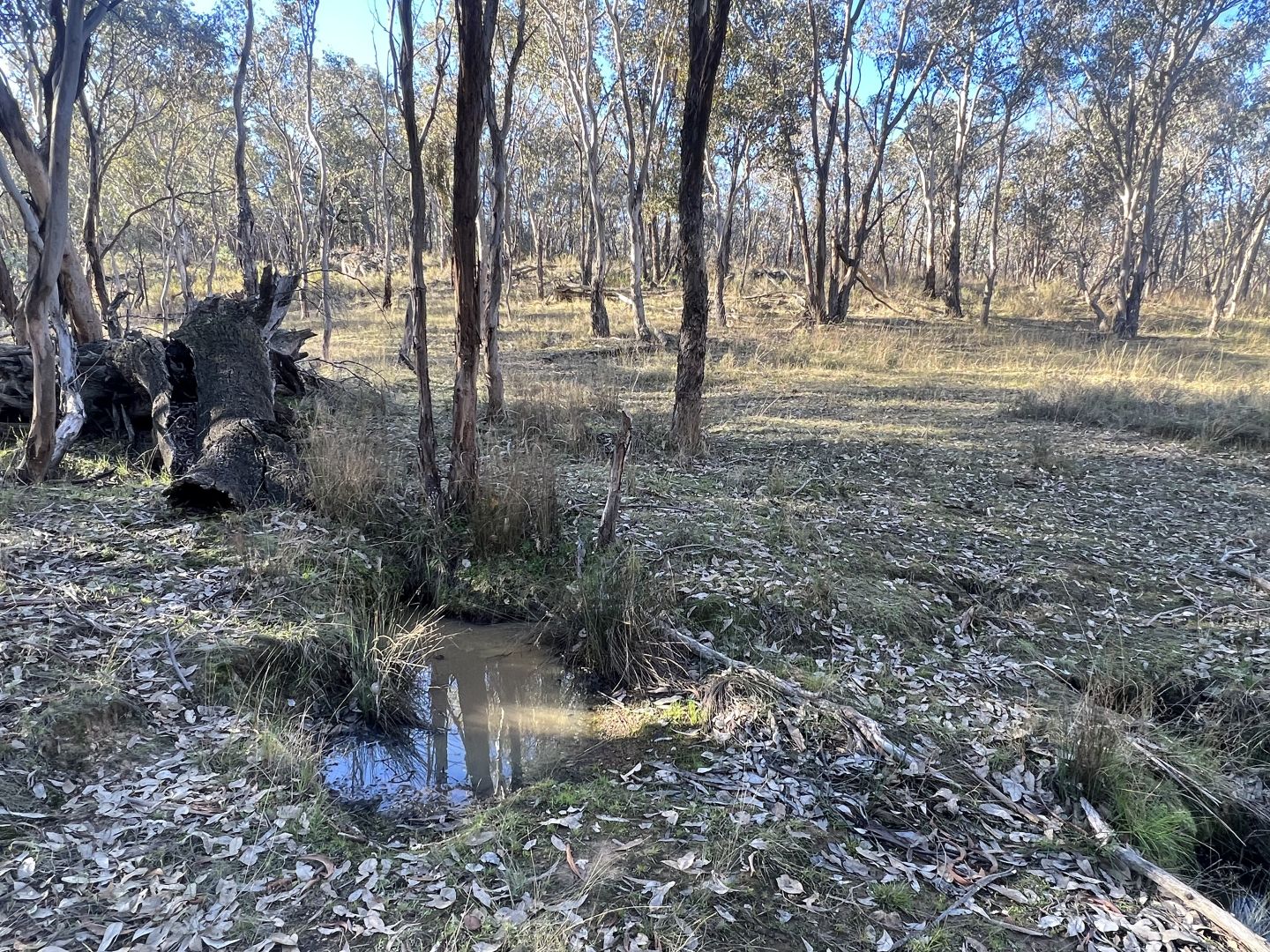 30 Carinya Estate Caringa Road, Godfreys Creek NSW 2586, Image 2