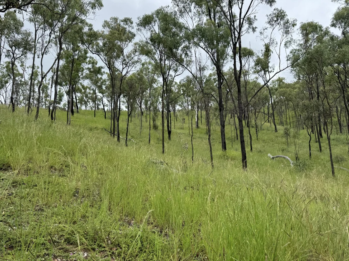 Additional image 27 of 1609 Monal Road, Monto QLD 4630