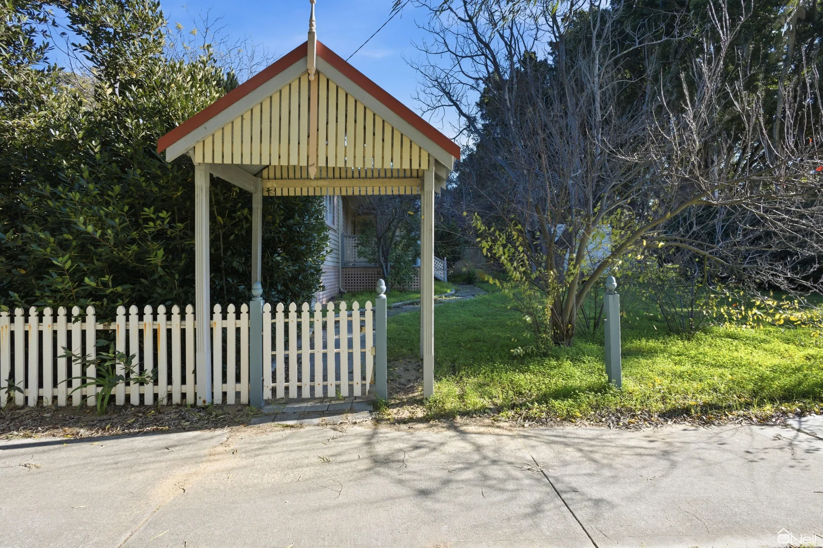 Image 5