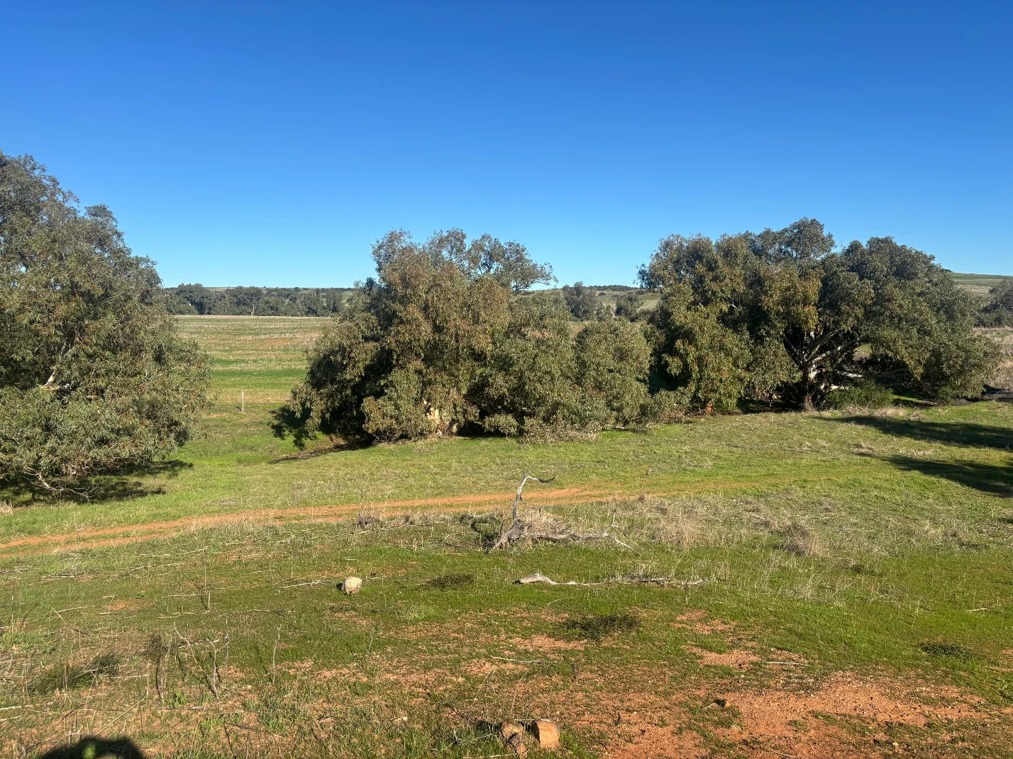 Image 10