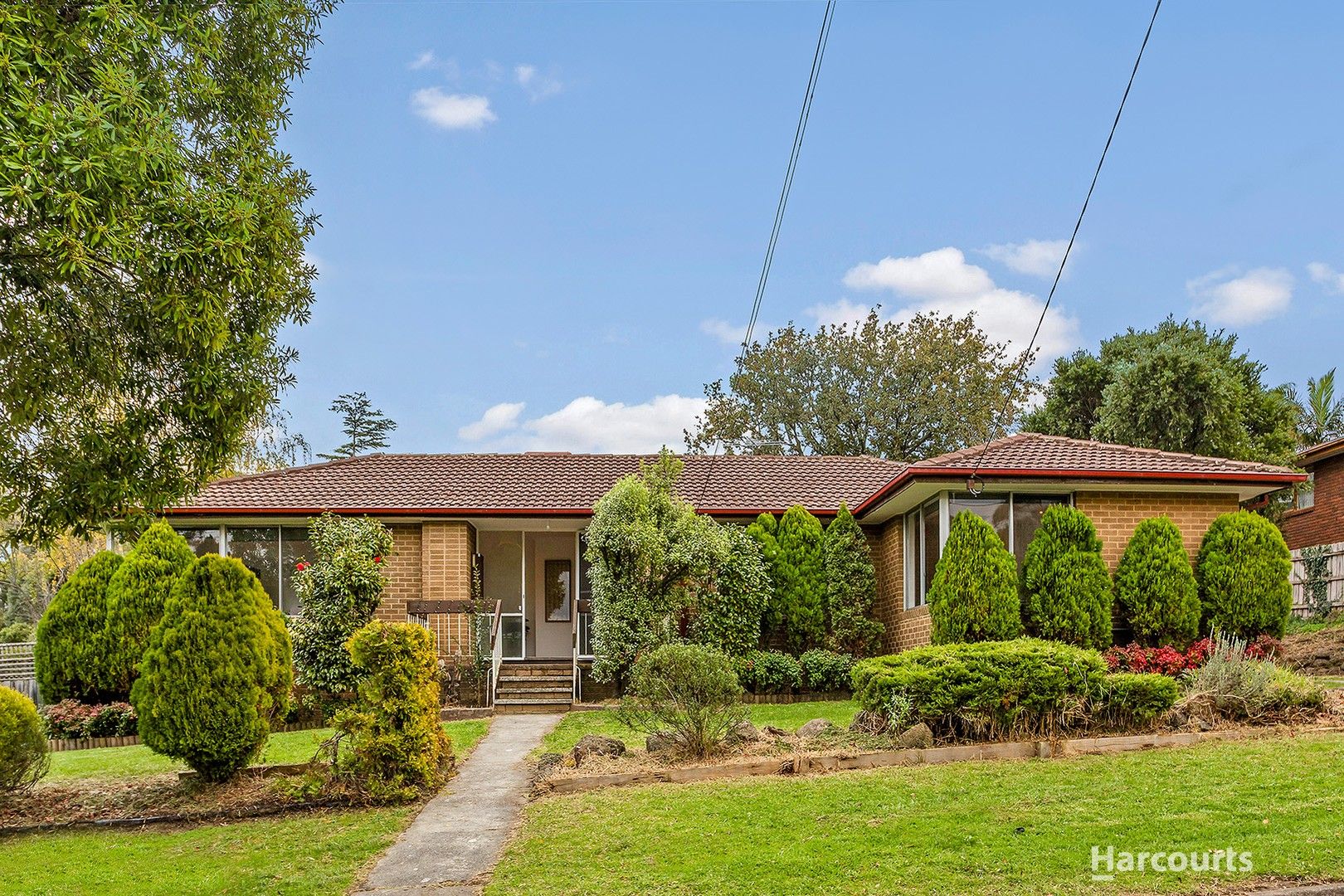 11 Clipper Court, Ringwood VIC 3134, Image 0