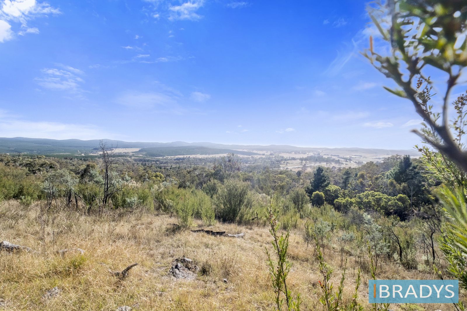 361 Trig Lane, Carwoola NSW 2620, Image 0