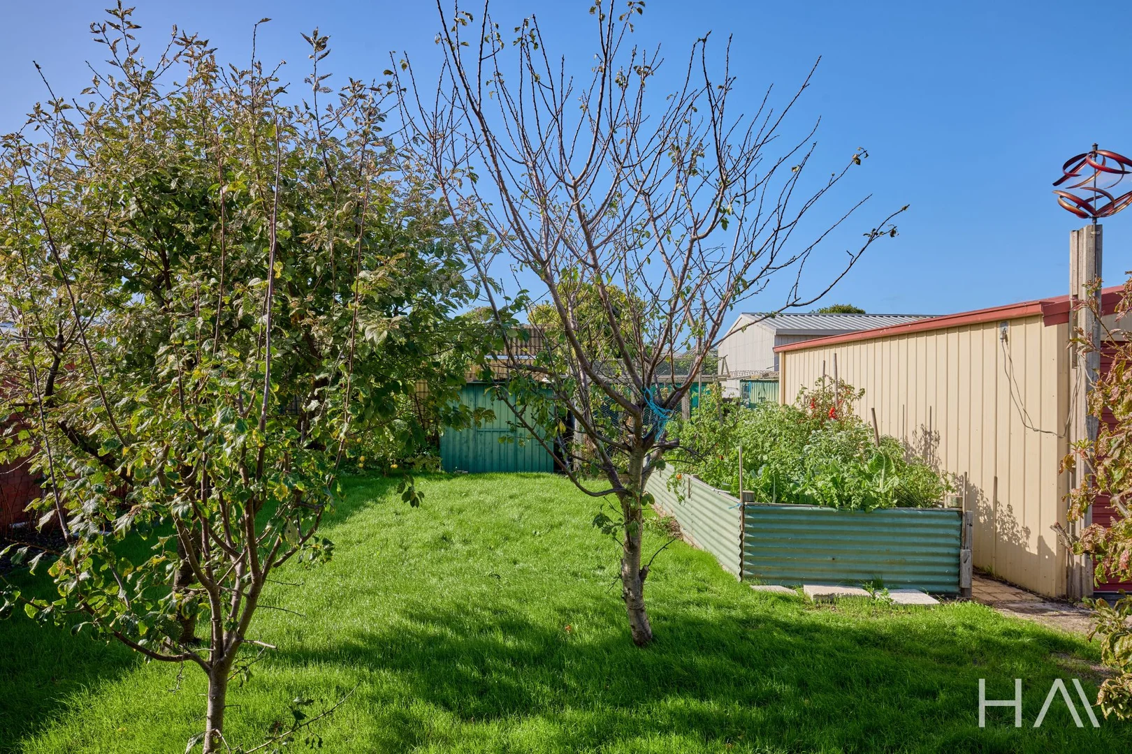 Image 20