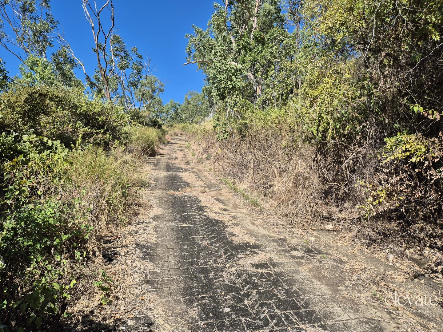 Image 11