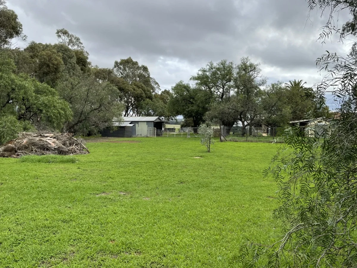 Image 30