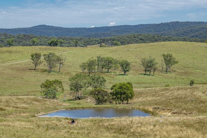 Picture of 53 Snake Creek Road, TENTERFIELD NSW 2372