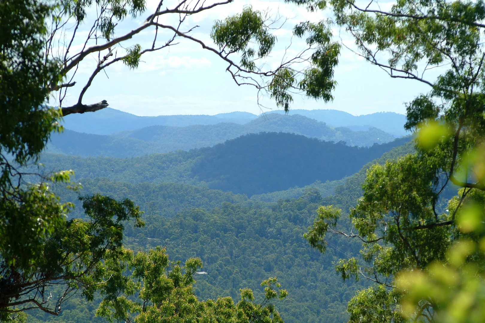 Image 19