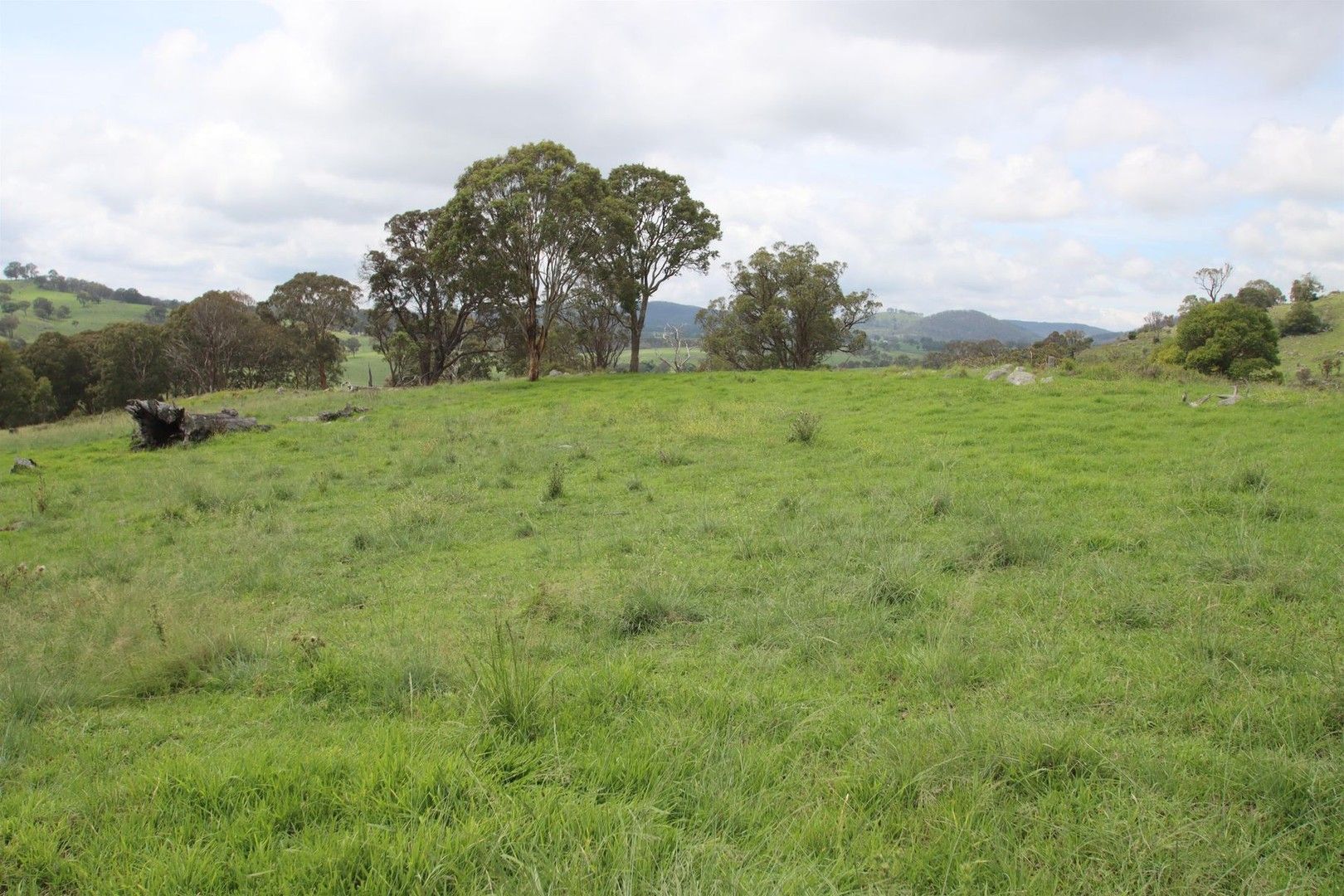 Lot 1 Kochs Road, Tenterfield NSW 2372, Image 0