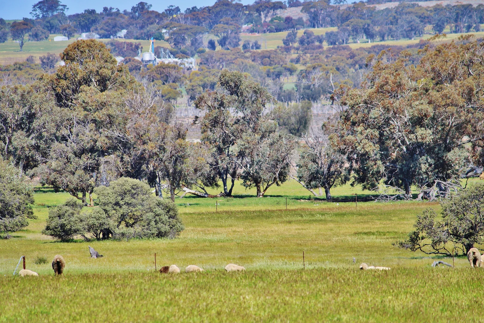 Image 10