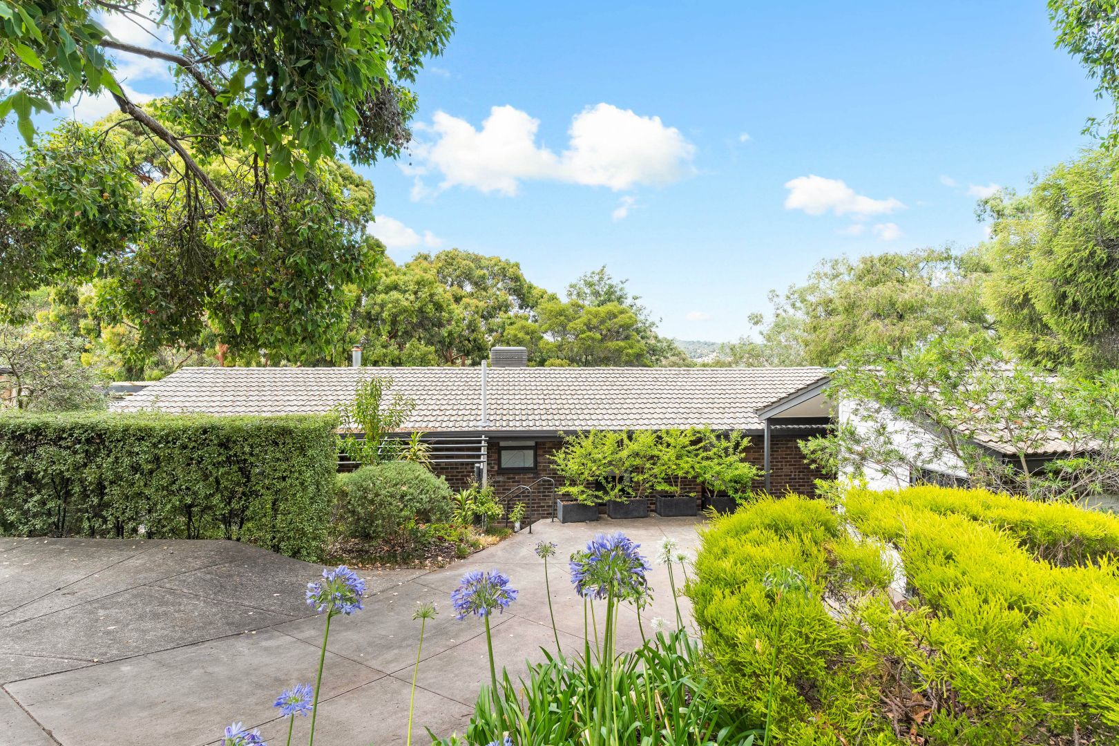 21 Diosma Drive, Coromandel Valley SA 5051, Image 1