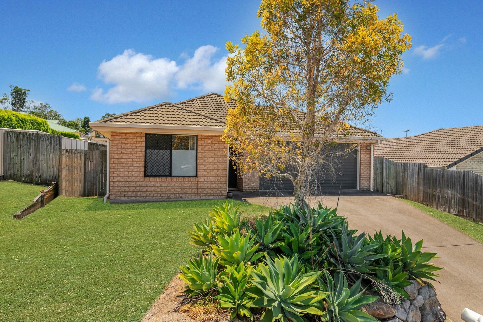 11 Rhiannon Drive, Flinders View QLD 4305, Image 0