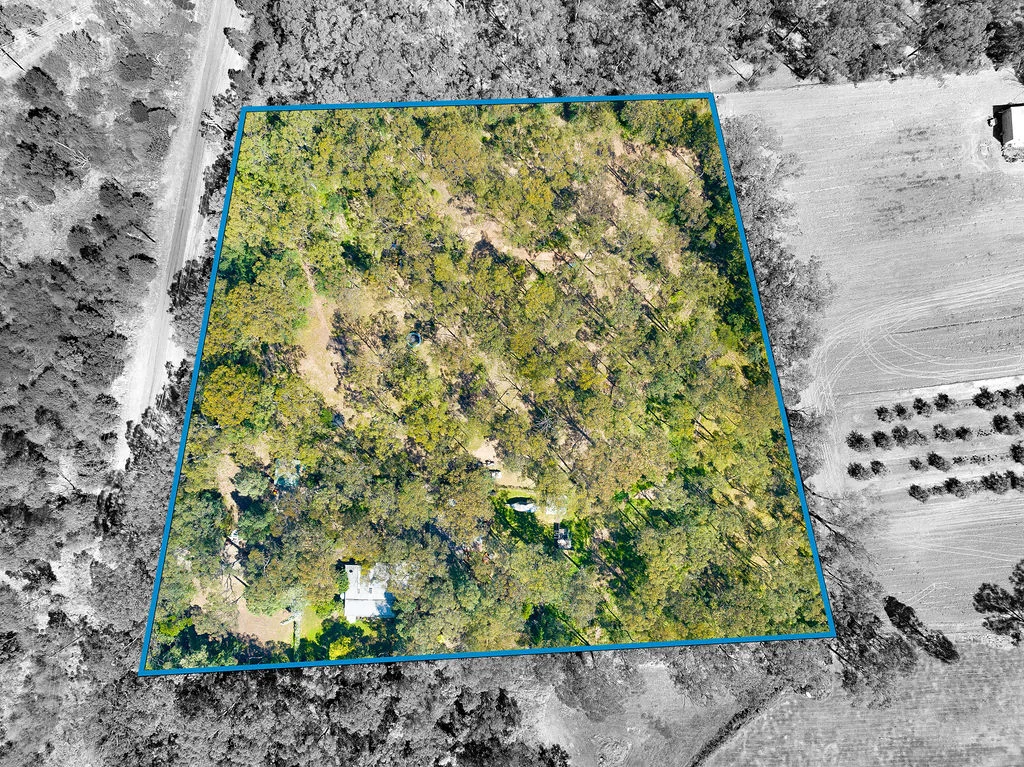Image 10