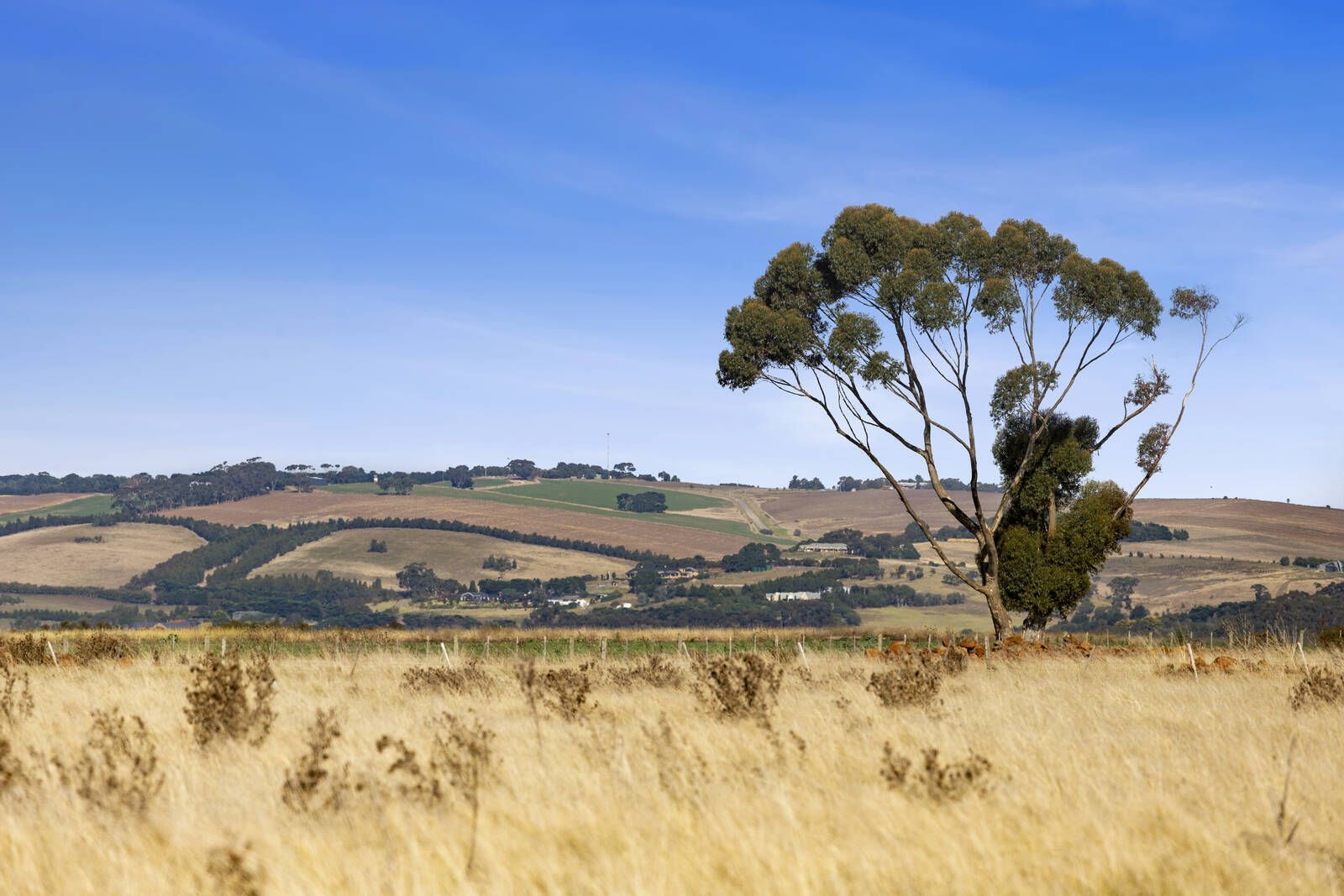 Lot 3 Booley Road, Gheringhap VIC 3331, Image 1