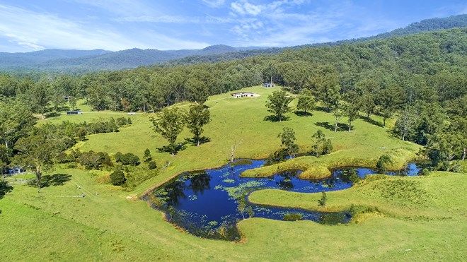 Picture of 197 Owens Road, MARTINSVILLE NSW 2265