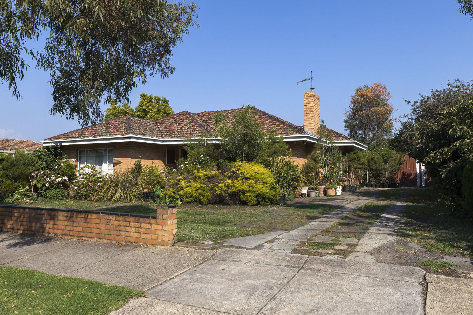 33 Rhodes Parade, Oak Park VIC 3046, Image 2