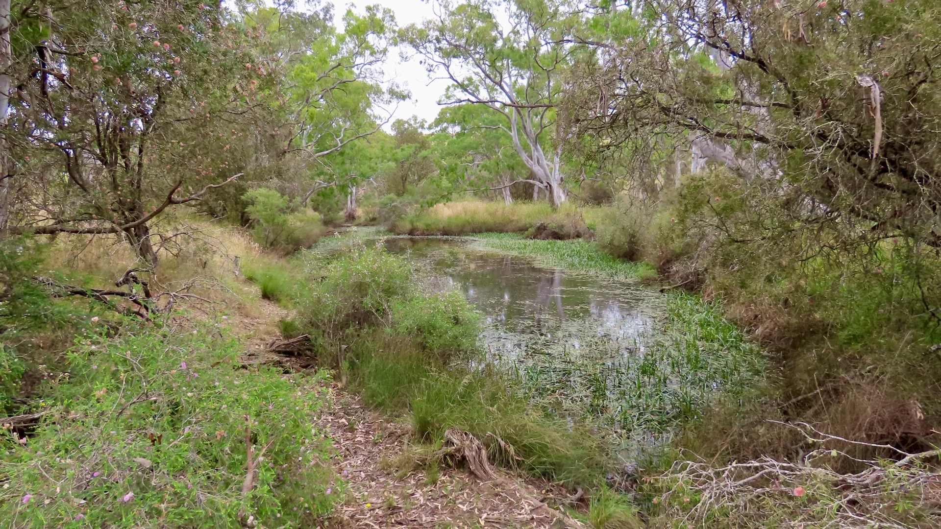 Additional image 7 of 596 Mostyn Lane, Balmoral VIC 3407