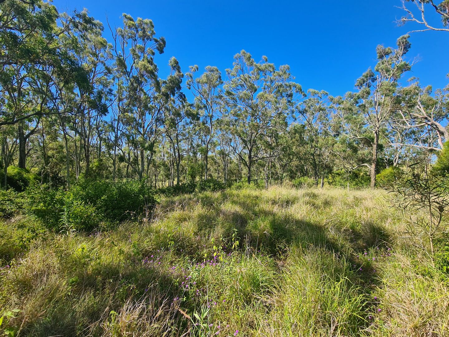 Lot 16 Garrett Street, Haden QLD 4353, Image 2