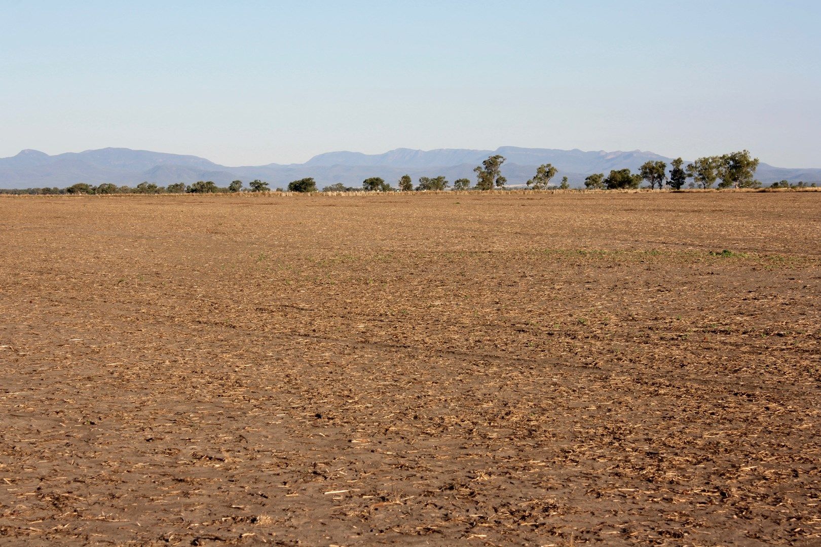 Galathera, Edgeroi NSW 2390, Image 0