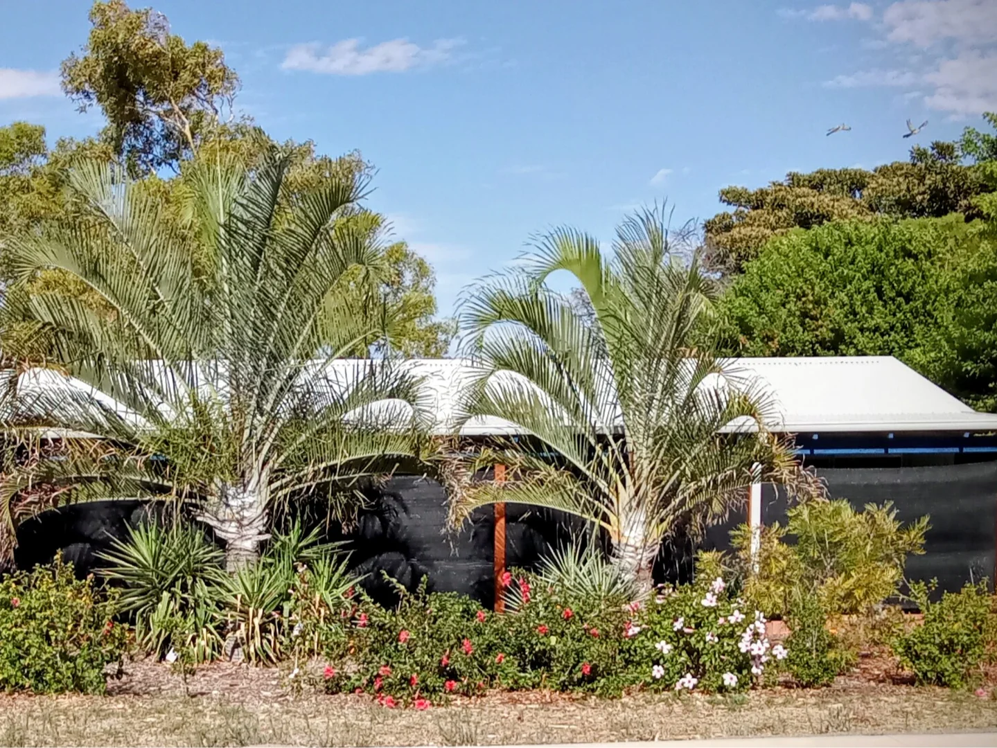 Primary image of Spalding WA 6530