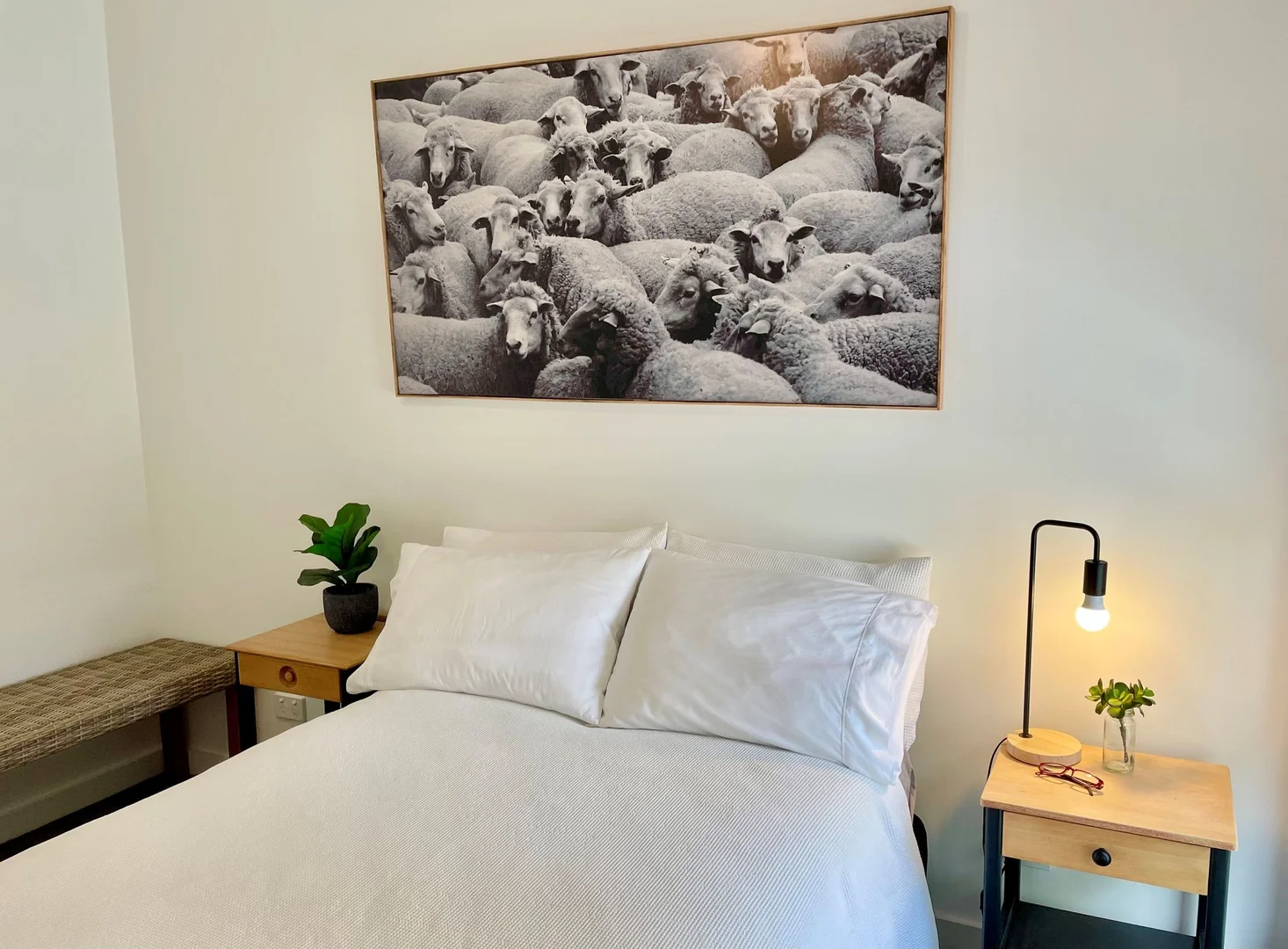 Additional image 8 of 159a Crowley Street, Temora NSW 2666