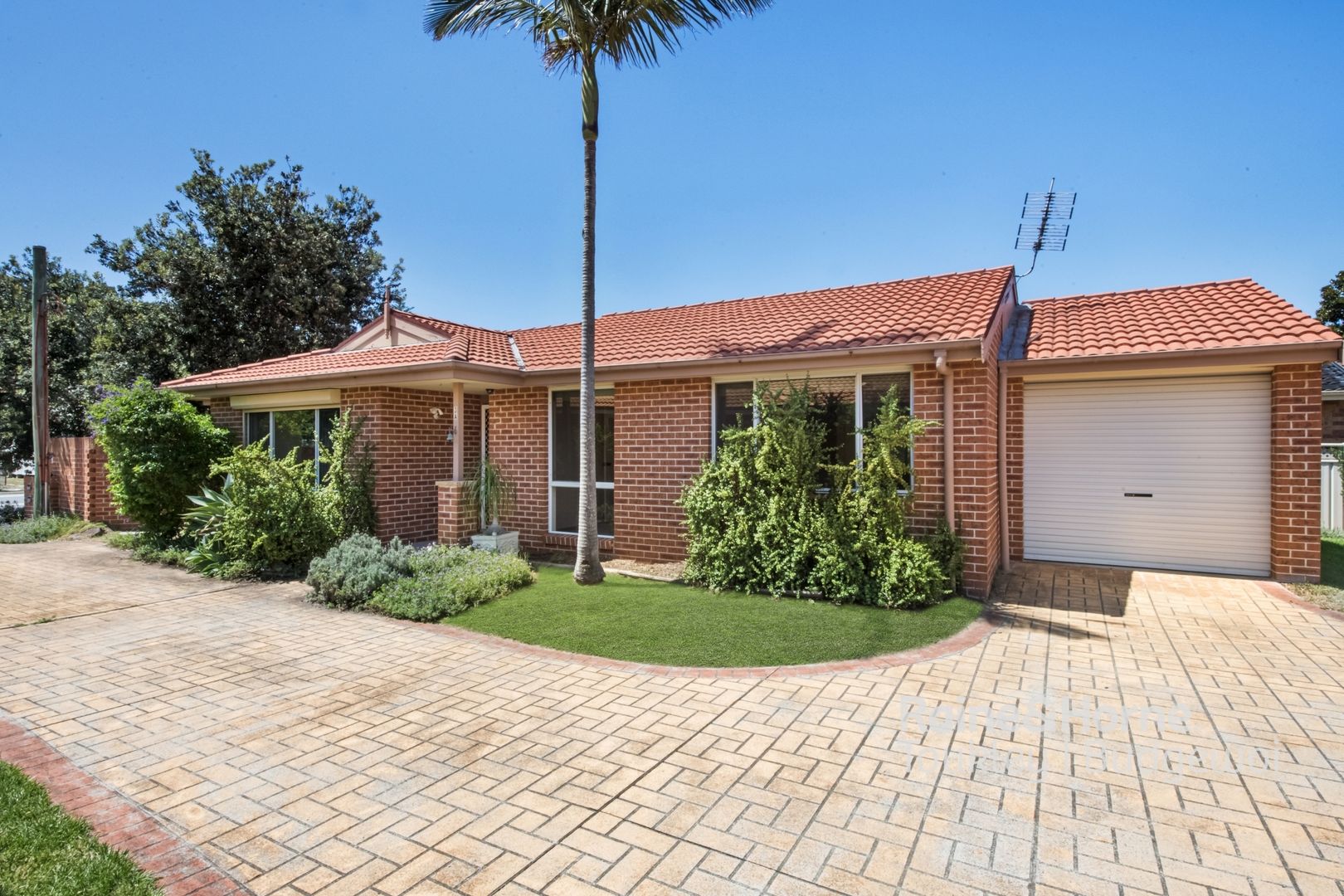 3A Ourringo Street, Budgewoi NSW 2262, Image 1