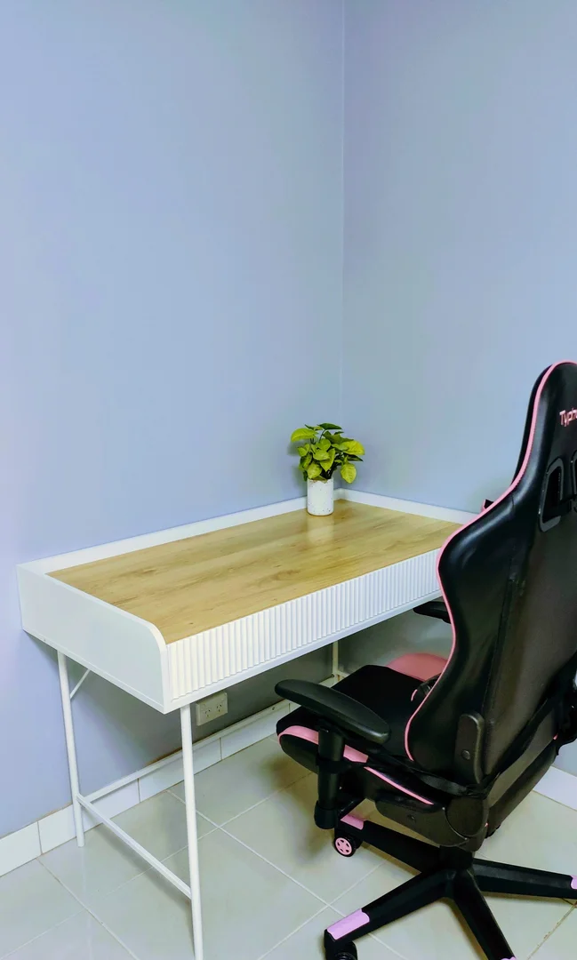 Additional image 7 of 22 Shropshire street, Miller NSW 2168