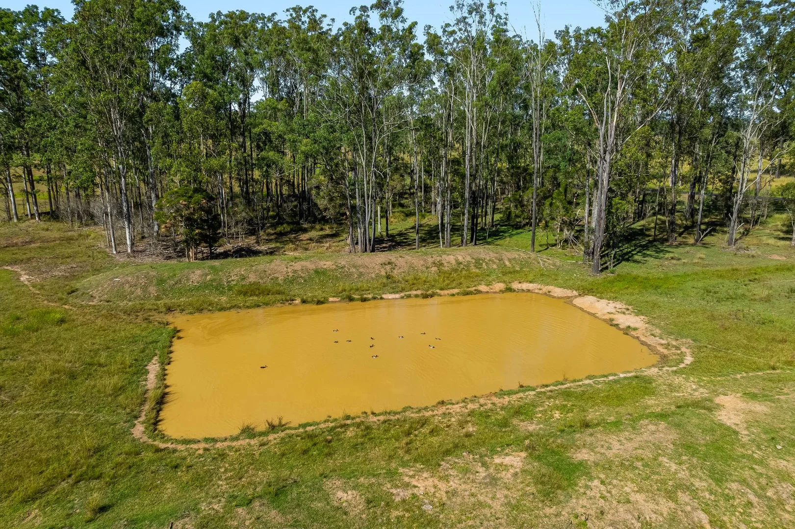 Image 6