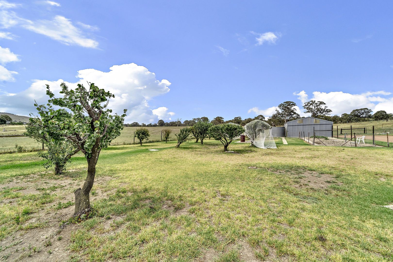 496 Spring Range Road, Springrange NSW 2618, Image 2