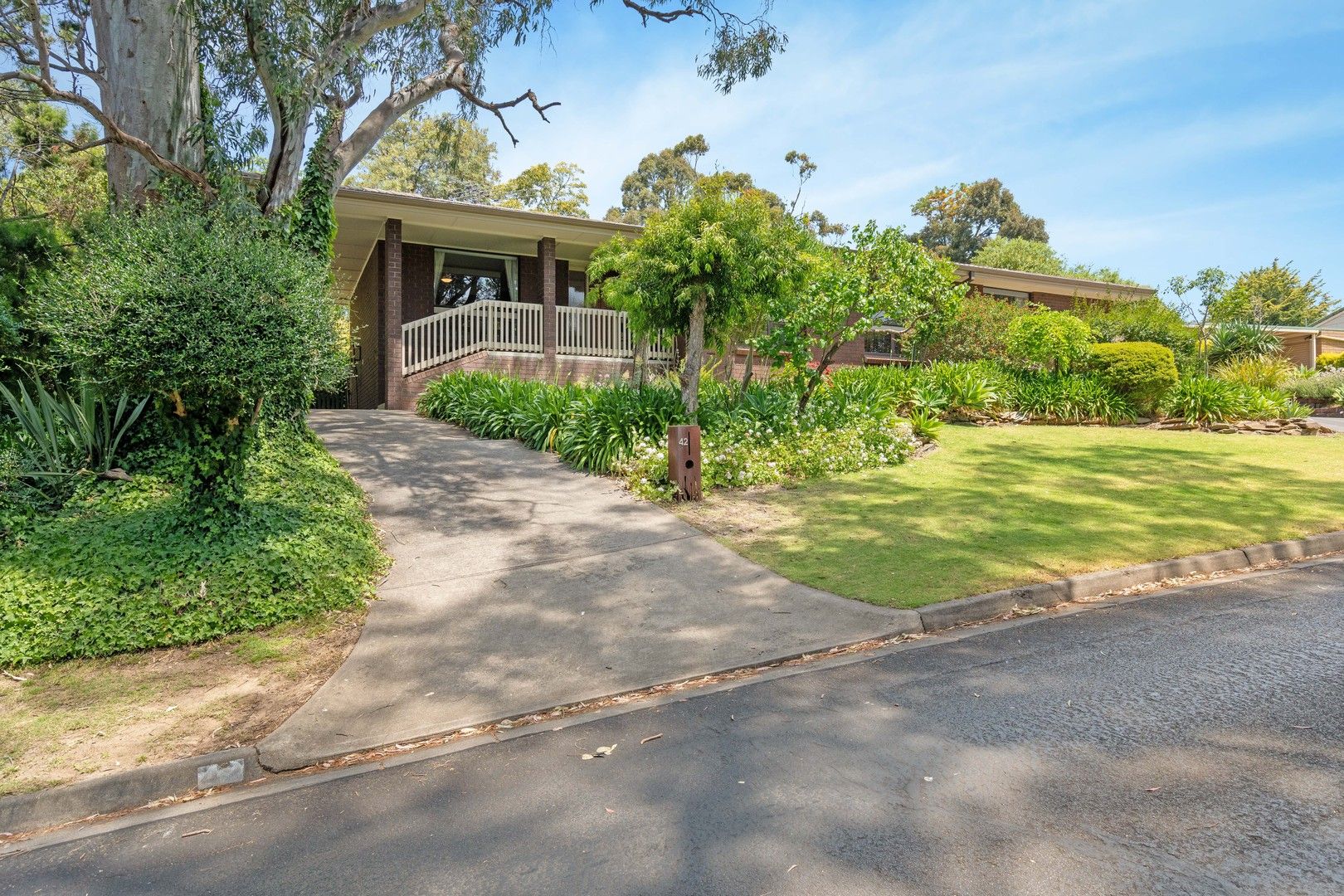 42 Light Road, Coromandel Valley SA 5051 Domain