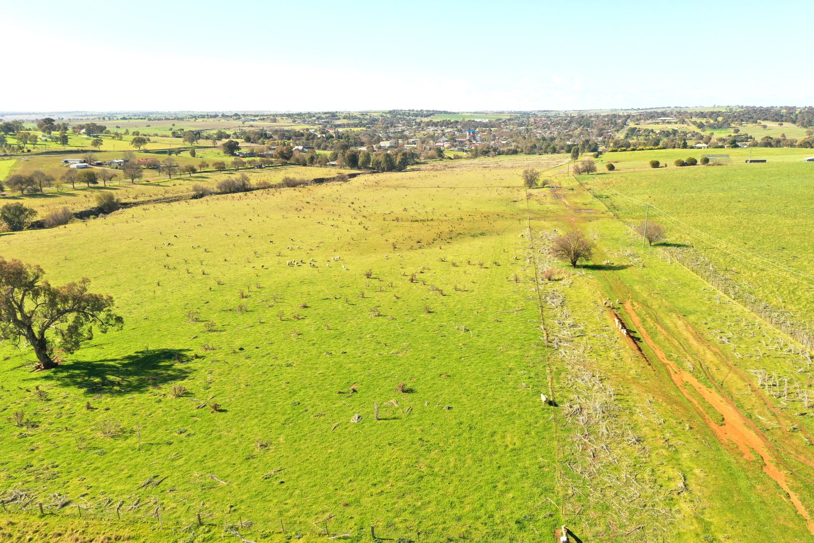 Lot 255, 256 & 257 Araluen Road, Murrumburrah NSW 2587, Image 2