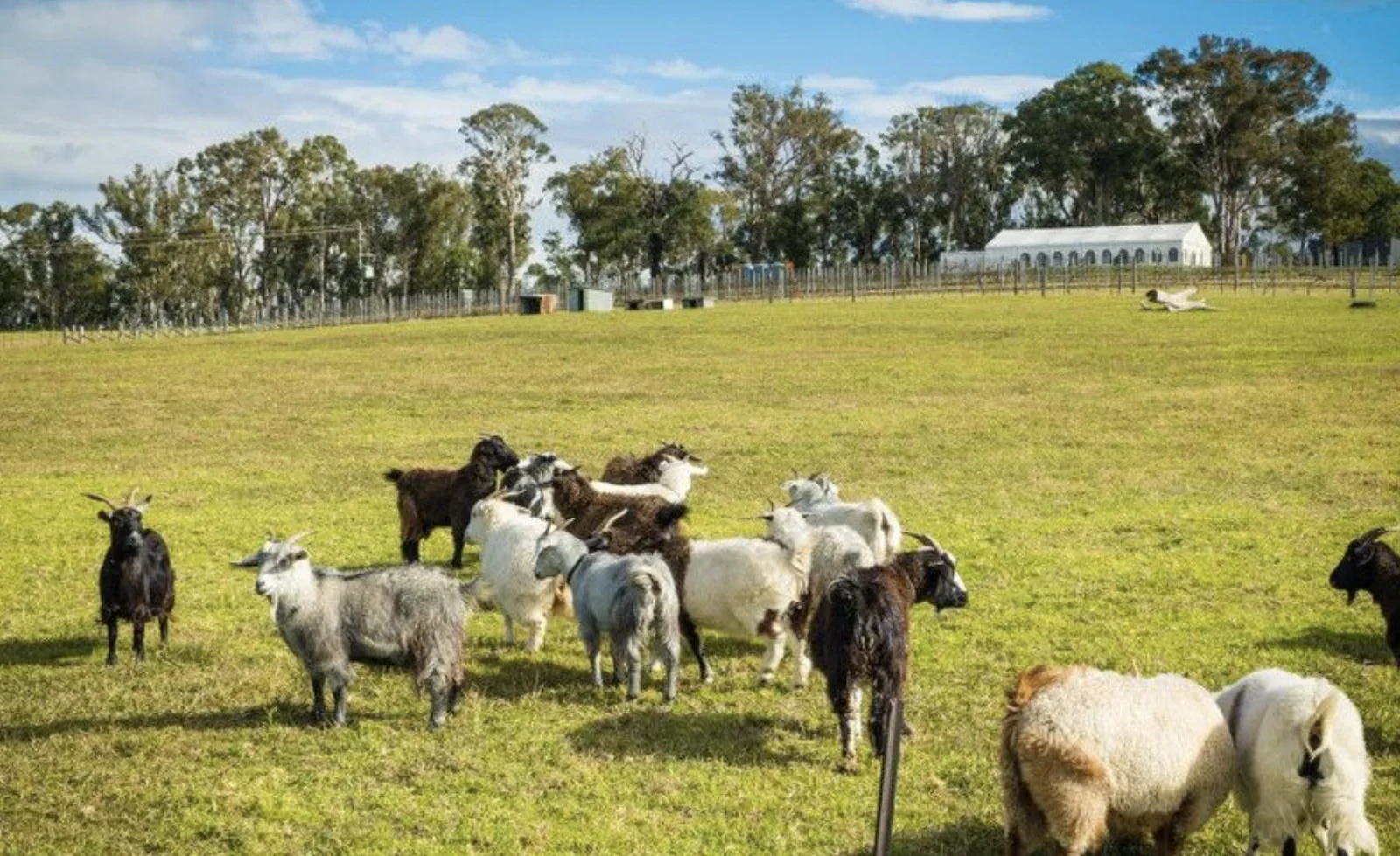 Additional image 10 of 874 Cobargo Bermagui Road, Coolagolite NSW 2550