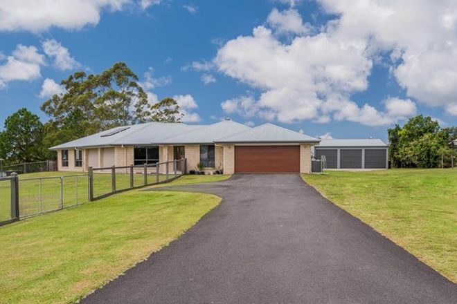Picture of 12 Wampi Close, JAMES CREEK NSW 2463