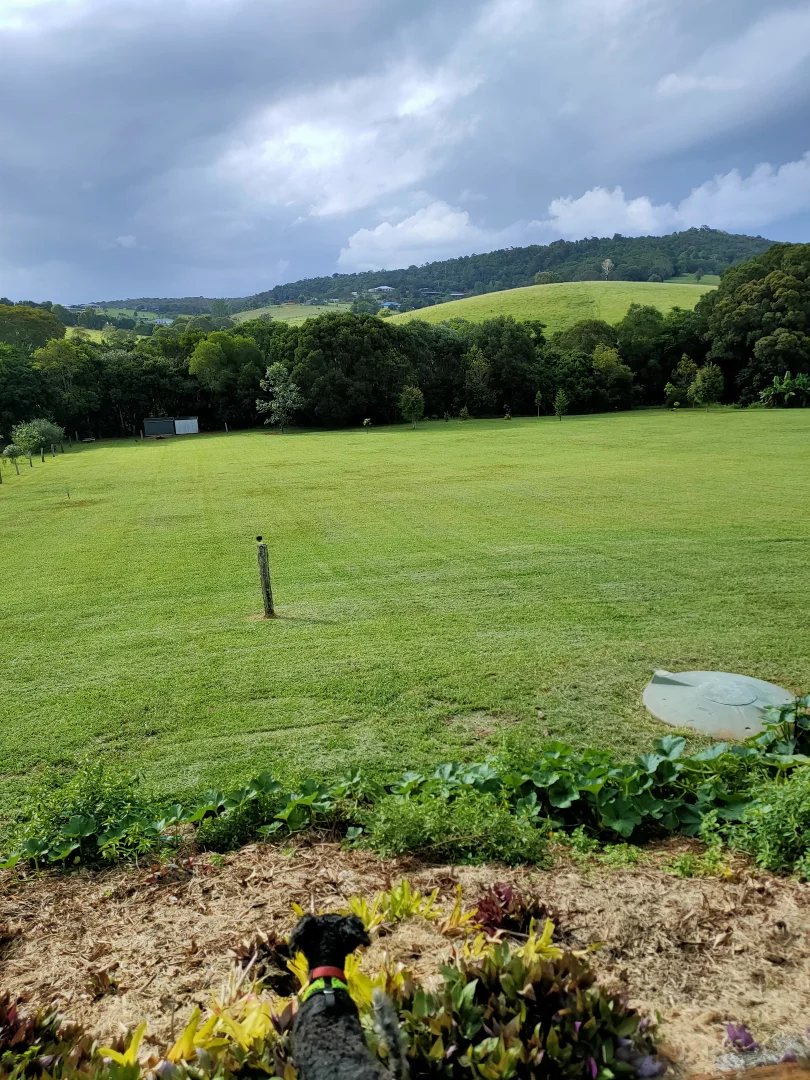 Additional image 32 of 17 Cahill Close, Peeramon QLD 4885