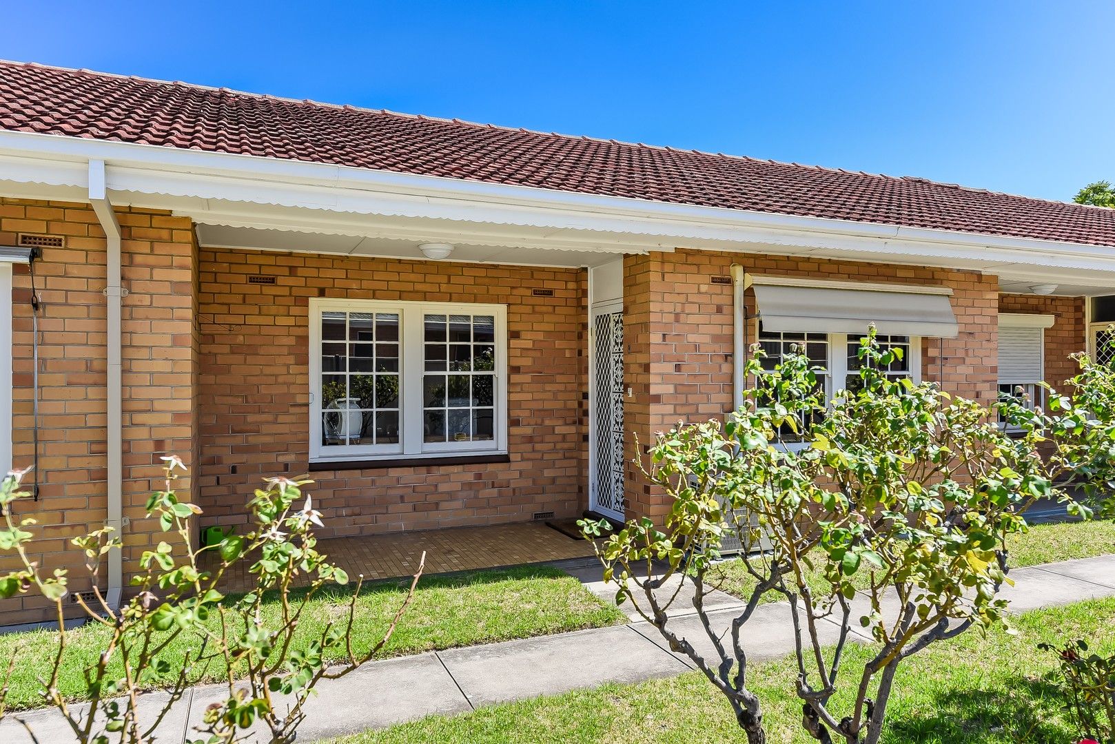 5/7A Christie Avenue, Toorak Gardens SA 5065, Image 0