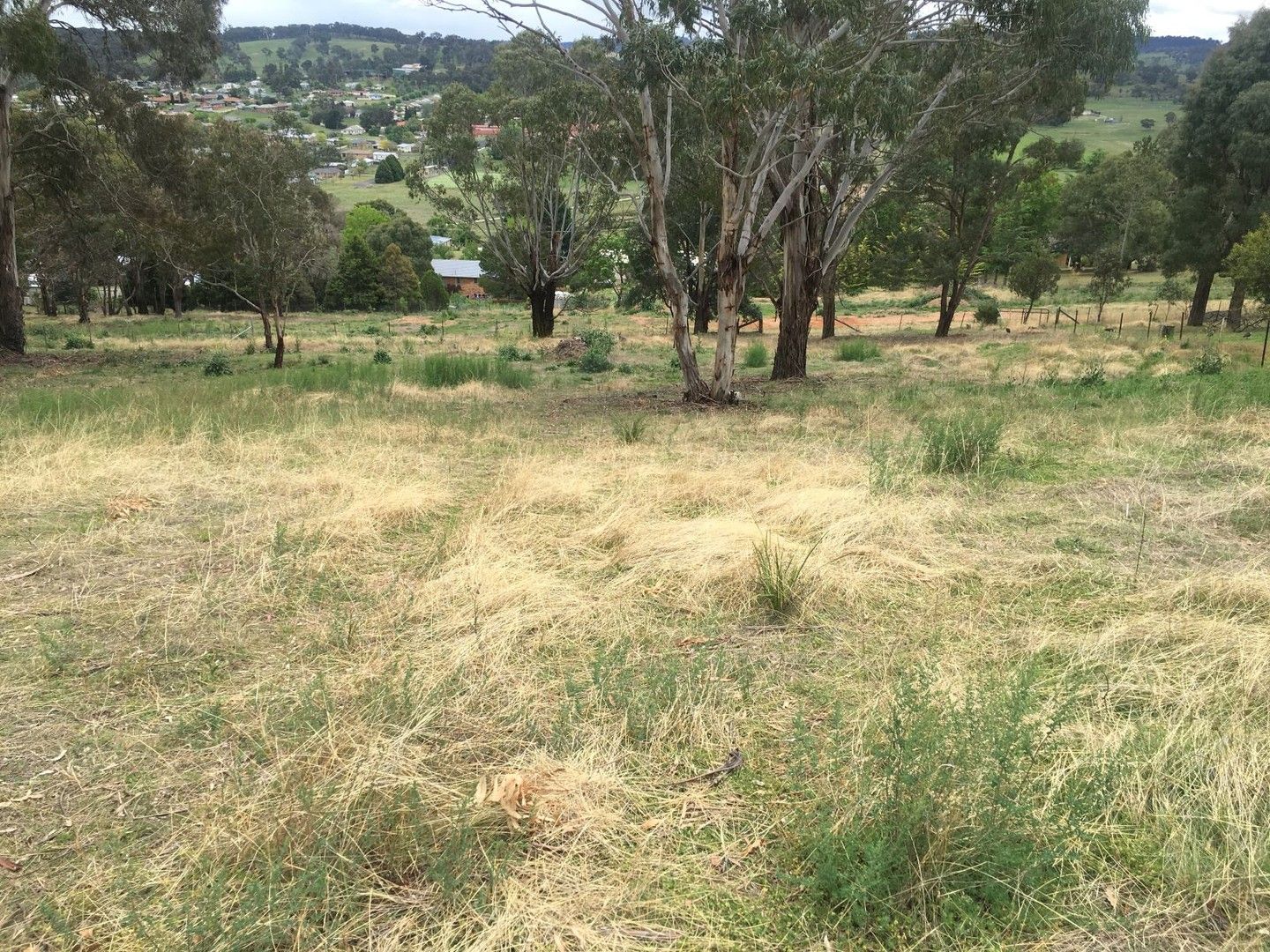 213-215 Croudace Street, Walcha NSW 2354, Image 0