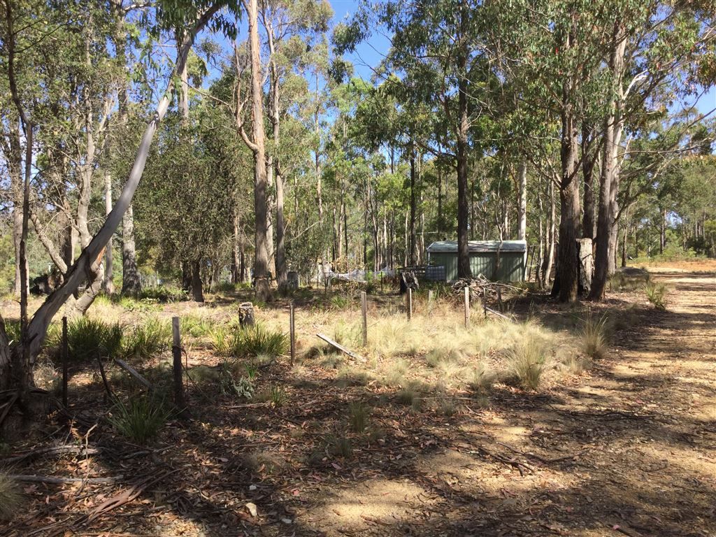 71 Lake View Road, Lake Leake TAS 7210, Image 1