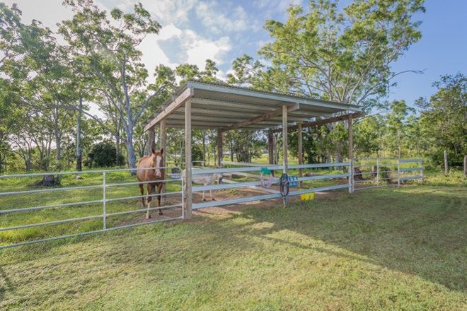 Picture of 231 Kellys Road, GREENMOUNT QLD 4751
