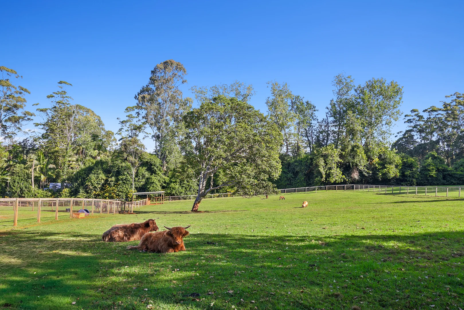Additional image 8 of 23-25 Kootenai Drive, Tamborine Mountain QLD 4272