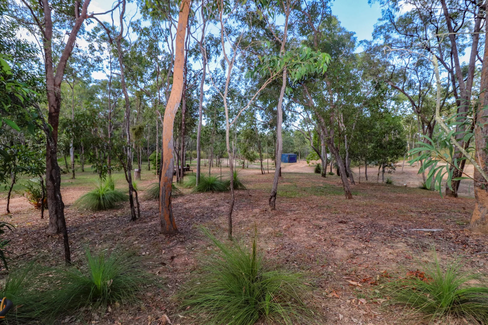 Image 36