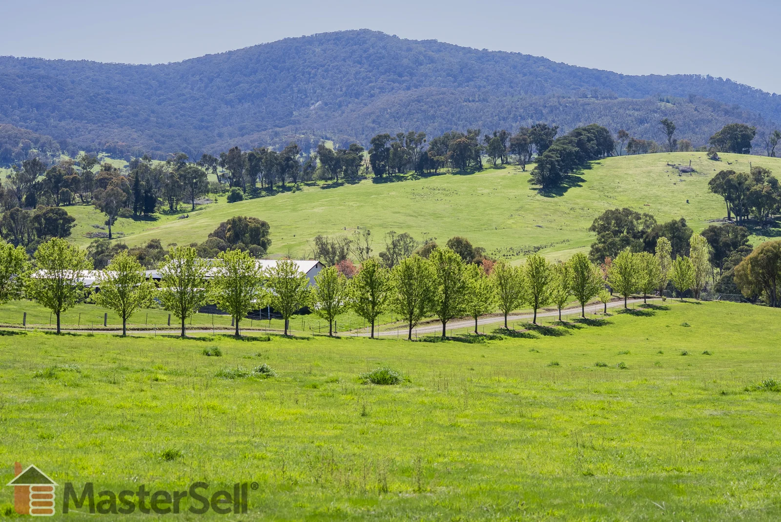 Additional image 34 of 172 Murray’s Crossing Road, Tumbarumba NSW 2653
