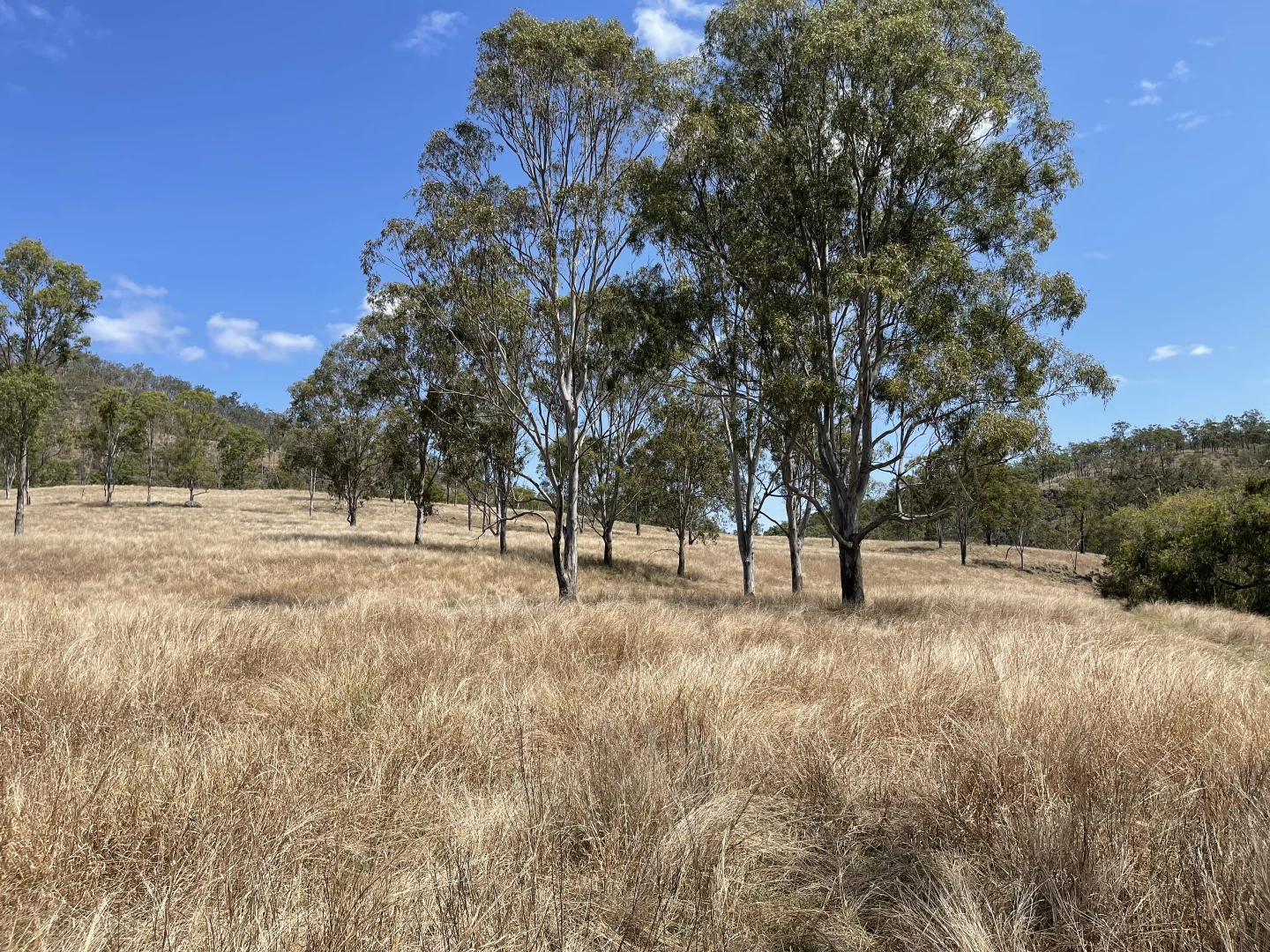 Image 15