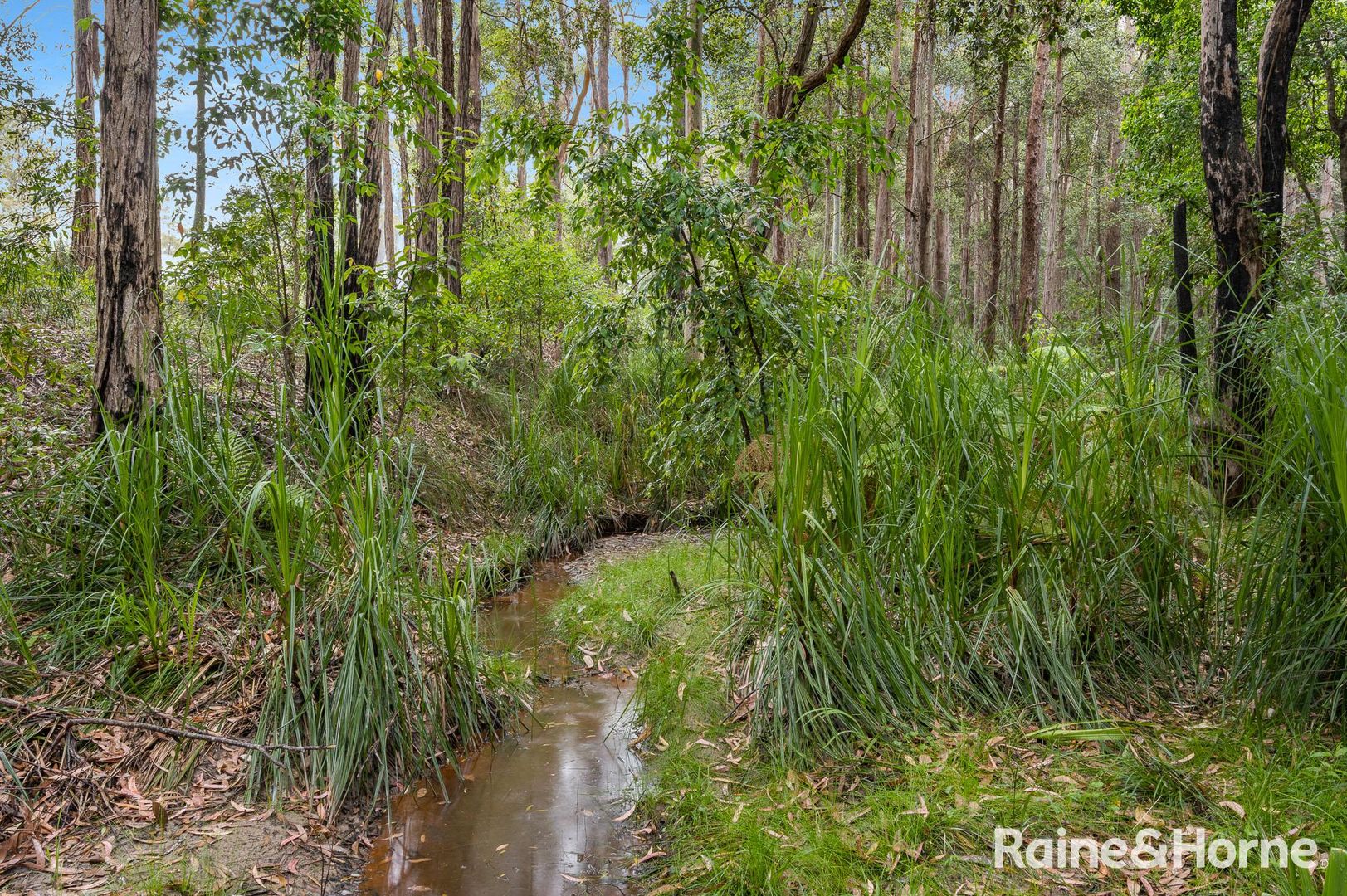 49b Woollamia Road, Falls Creek NSW 2540, Image 1