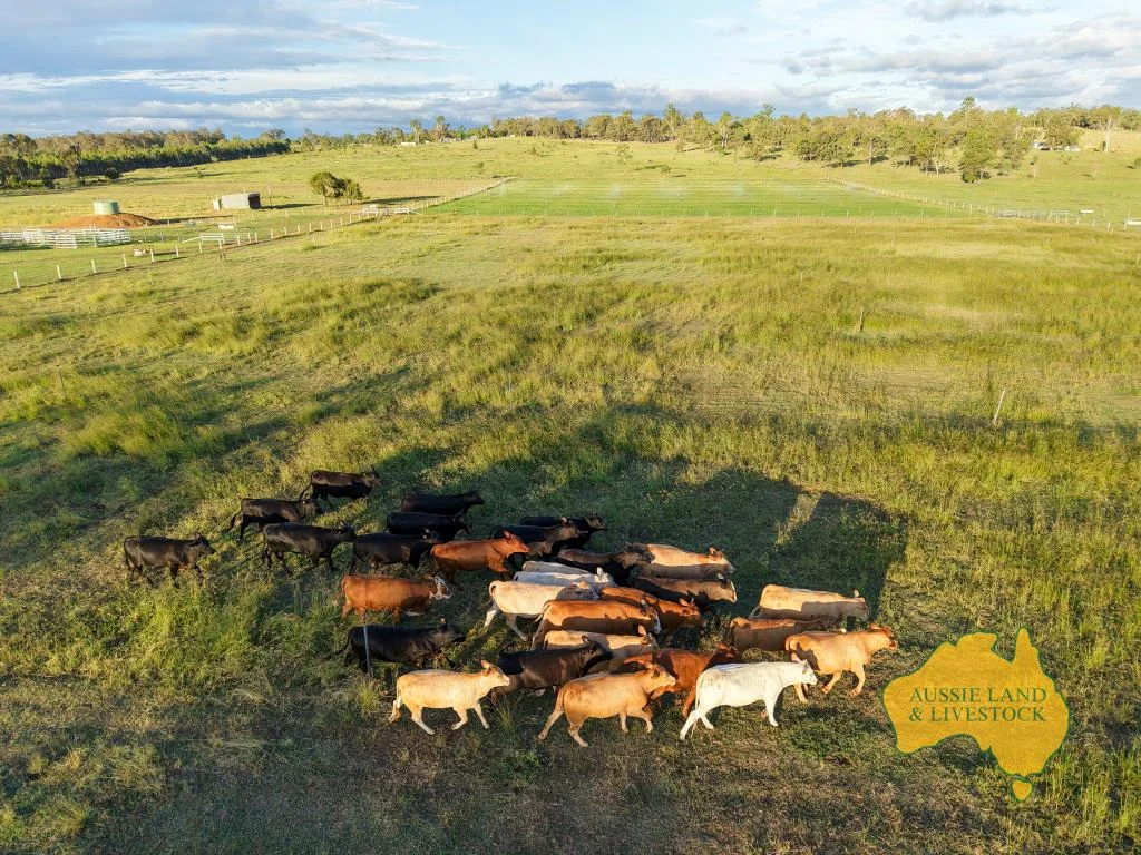 Additional image 2 of 854 MUNDUBBERA-DURONG ROAD, Boynewood QLD 4626