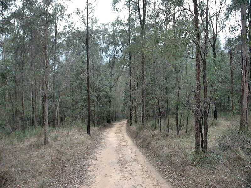 Middle Ridge Road, Wollombi NSW 2325, Image 2