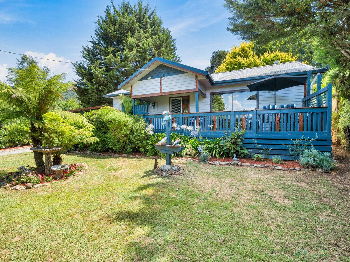 195 Kiewa Valley Highway, Tawonga VIC 3697, Image 0