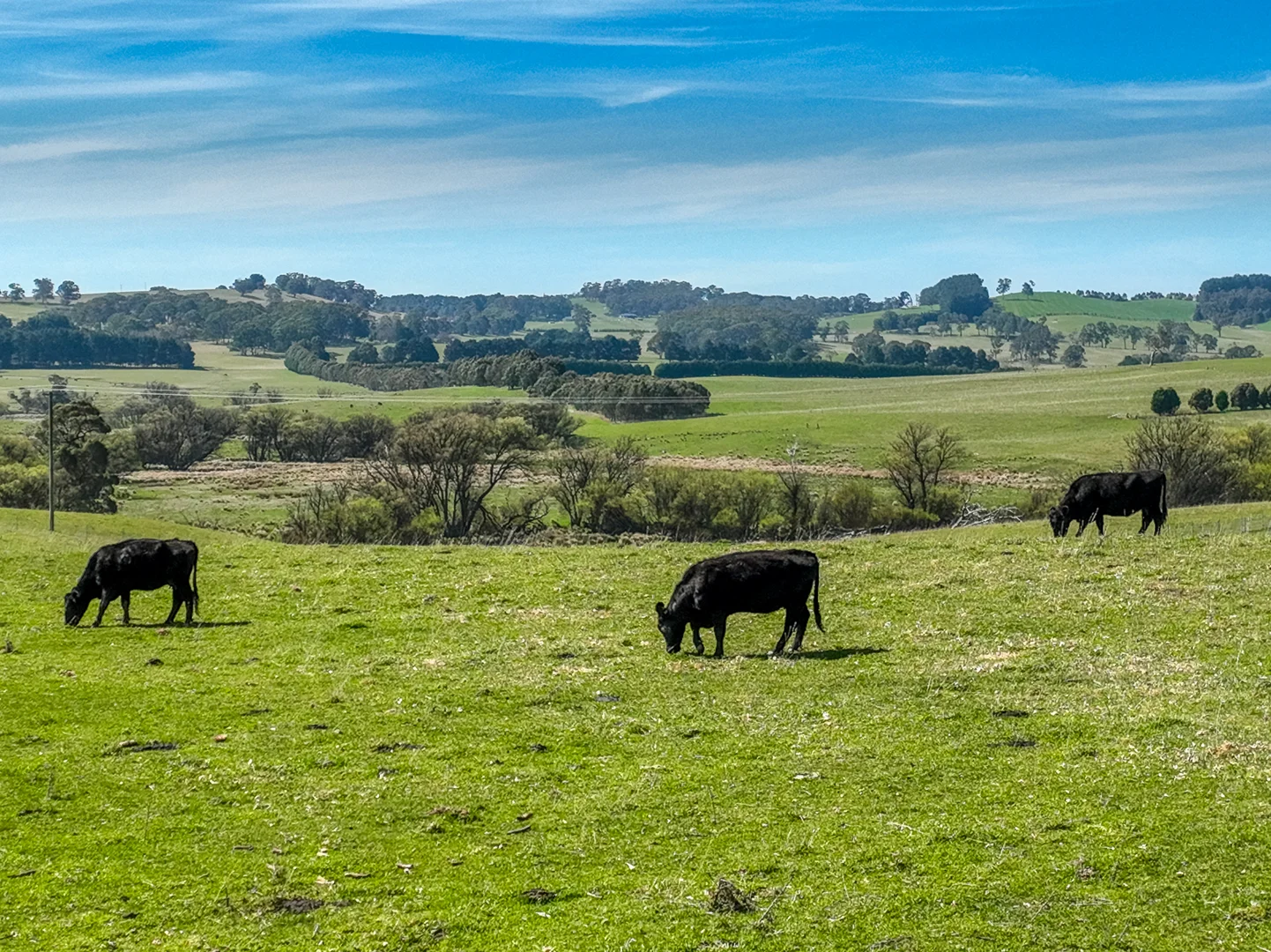 Additional image 14 of Lot 1, 1660 Edith Road, Oberon NSW 2787