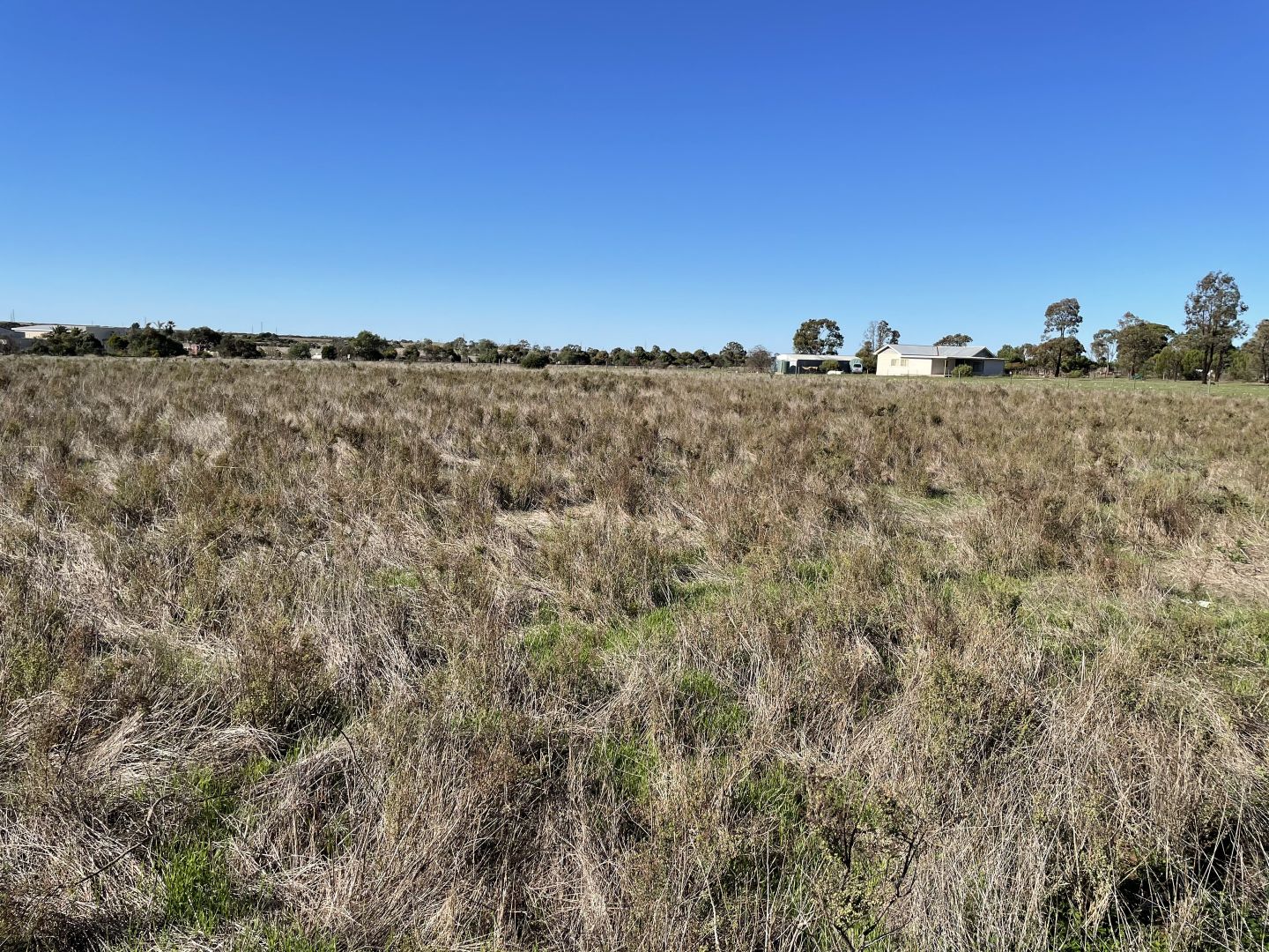 Allotment 289 Golf Course Road, Tailem Bend SA 5260, Image 2